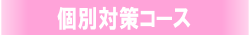 個別対策コース