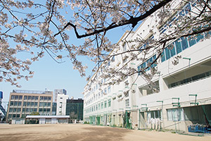 千代田区立 九段中等教育学校 | 公式・進学塾のena｜中学・高校